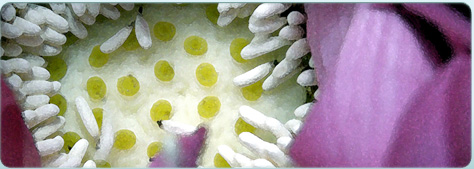 Cornelia Gunn - Kosmetik in Stuttgart