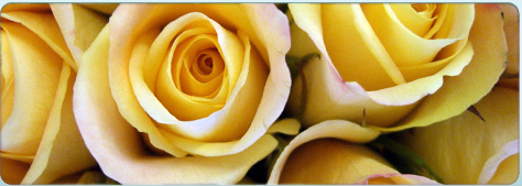 Cornelia Gunn - Kosmetik in Stuttgart